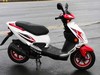 PGO Trex50 (image for) PGO Trex50